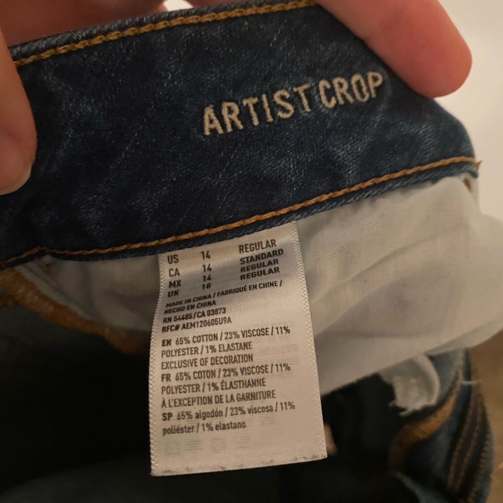 American Eagle Distressed Artist Crop